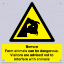 beware-farm-animals-can-be-dangerous-visitors-are-advised-not-to-interfere-with-~